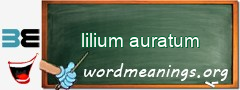 WordMeaning blackboard for lilium auratum